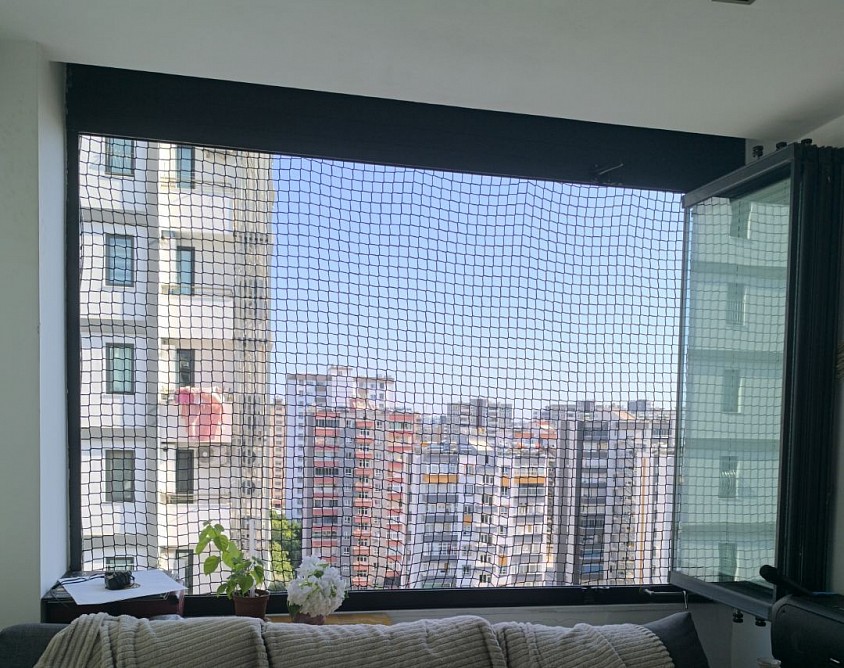 Cam balkon kedi filesi